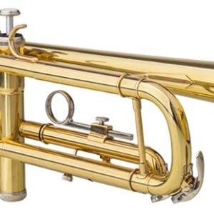 TROMPETA DORADA M&F C/ ESTUCHE MOD (CX-W067)